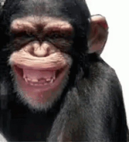 A Close Up Of A Chimpanzee 'S Face With Its Mouth Open And Teeth Showing . GIF
