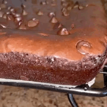 A Close Up Of A Chocolate Brownie With Chocolate Chips On Top On A Cooling Rack . GIF