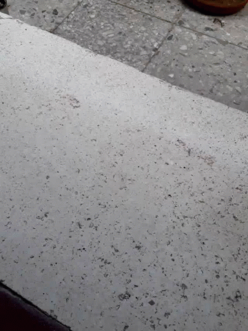 A Close Up Of A Concrete Wall With A Lot Of Small Stones On It GIF