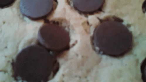 A Close Up Of A Cookie With Chocolate Chips On It GIF