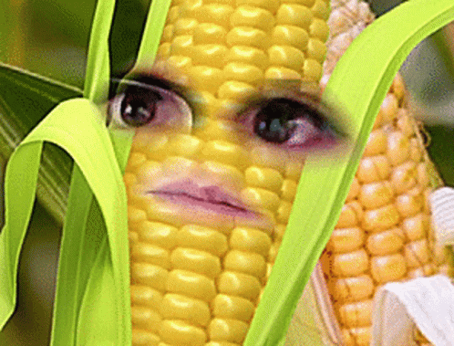 A Close Up Of A Corn Cob With A Person 'S Face On It GIF