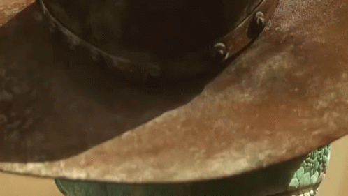 A Close Up Of A Cowboy Hat With A Snake In It GIF