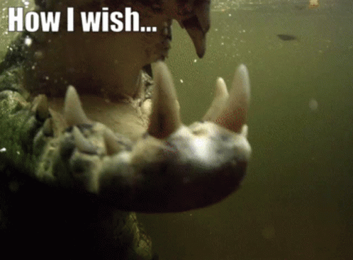 A Close Up Of A Crocodile Mouth With The Words " How I Wish " Below It GIF