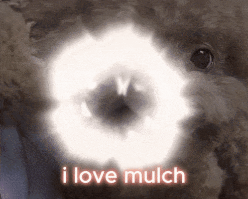 A Close Up Of A Dog 'S Eye With The Words " I Love Mulch " Written Above It GIF
