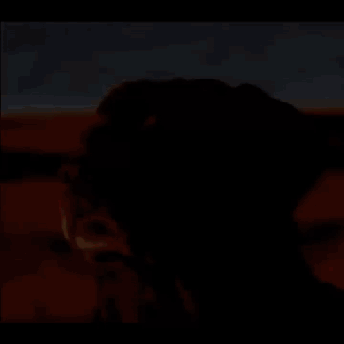 A Close Up Of A Dog 'S Face In A Desert GIF