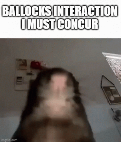 A Close Up Of A Dog 'S Face With The Words `` Ballocks Interaction I Must Concur '' Written On It . GIF