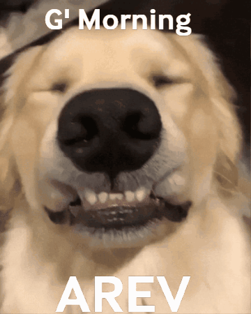 A Close Up Of A Dog 'S Face With The Words " G Morning Arev " Below It GIF