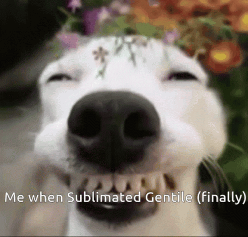 A Close Up Of A Dog 'S Face With The Words " Me When Sublimated Gentle ( Finally ) " Below It GIF