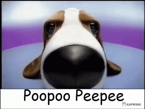 A Close Up Of A Dog 'S Face With The Words Poopoo Peepee Below It . GIF