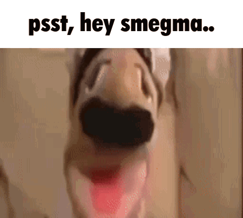 a close up of a dog 's face with the words psst hey smegma written below it