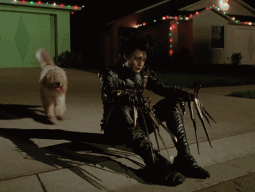 A Close Up Of A Dog 'S Hair Being Cut With Scissors GIF