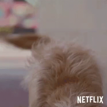 a close up of a dog 's head with netflix written on the bottom .