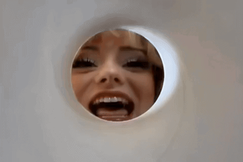 A Close Up Of A Dog 'S Paws Sticking Out Of A Hole In A Wall . GIF