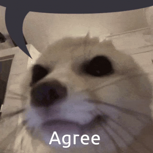 a close up of a dog with a speech bubble above it that says agree