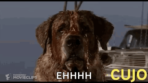 A Close Up Of A Dog With Blood Coming Out Of Its Nose . GIF