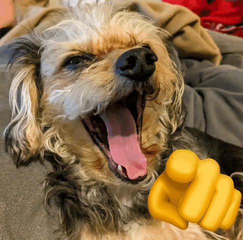 A Close Up Of A Dog With Its Mouth Open And A Yellow Finger Pointing At It GIF