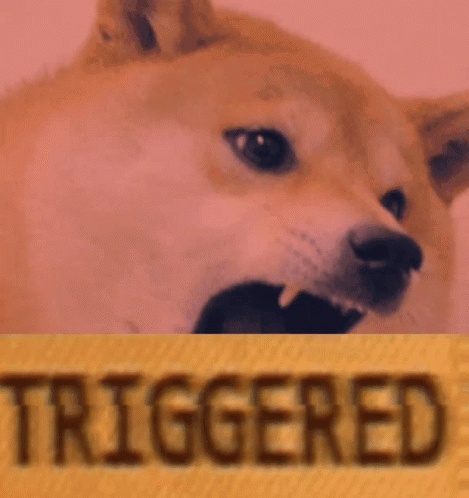 A Close Up Of A Dog With The Word Triggered In The Background GIF