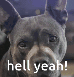 A Close Up Of A Dog With The Words Hell Yeah Written Above It GIF