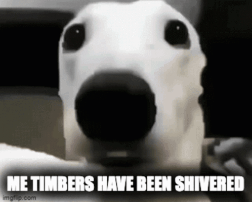 A Close Up Of A Dog With The Words Me Timbers Have Been Shivered Written Below It GIF