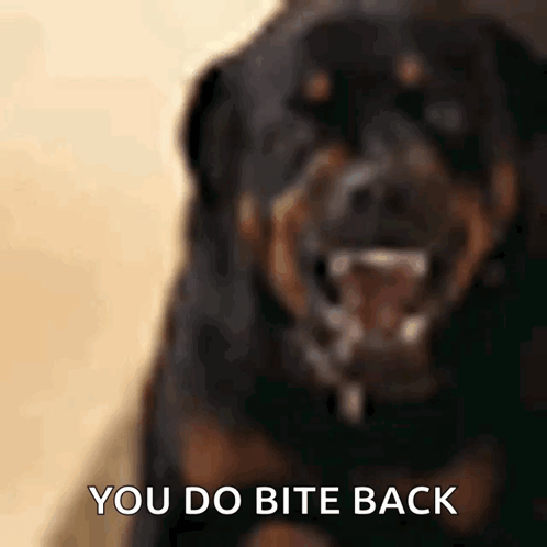 A Close Up Of A Dog With The Words " You Do Bite Back " Written Below It GIF