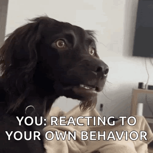 A Close Up Of A Dog With The Words You Reacting To Your Own Behavior Written On It GIF