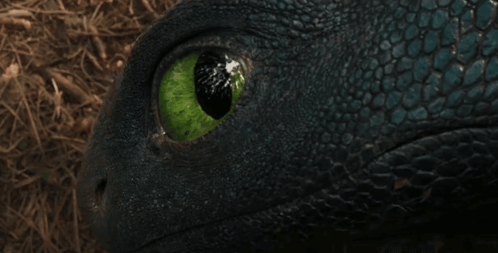 A Close Up Of A Dragon 'S Eye With A Green Pupil GIF