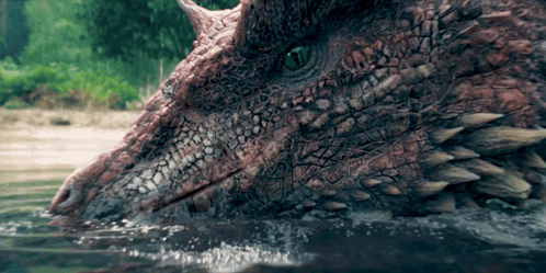 A Close Up Of A Dragon 'S Face Looking Out Of The Water GIF