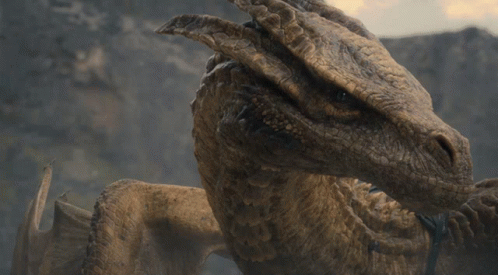 A Close Up Of A Dragon 'S Face With A Blurred Background GIF
