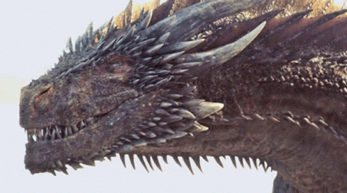 A Close Up Of A Dragon 'S Face With Sharp Teeth GIF