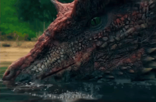 A Close Up Of A Dragon 'S Head Swimming In The Water GIF
