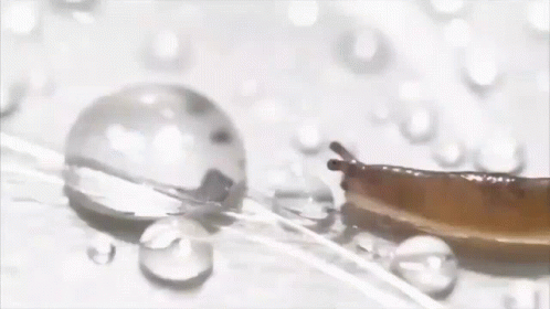 A Close Up Of A Drop Of Liquid On A Table GIF
