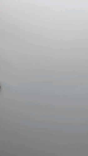 A Close Up Of A Duck 'S Head Against A Grey Background . GIF