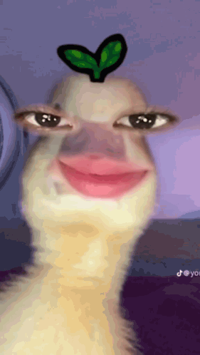 A Close Up Of A Duck With A Heart On Its Head GIF