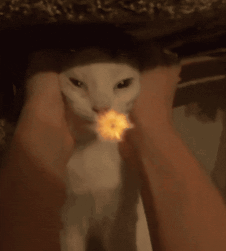 A Close Up Of A Fireball That Looks Like A Sphere GIF
