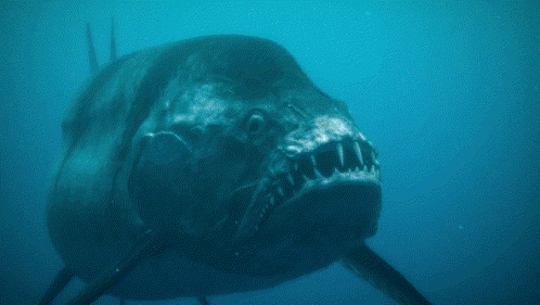 A Close Up Of A Fish With Sharp Teeth Swimming In The Ocean GIF