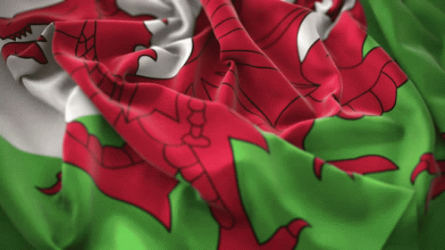 A Close Up Of A Flag With A Red Dragon On It GIF