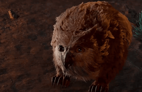 Close Up Of Furry Animal Face And Paws GIF