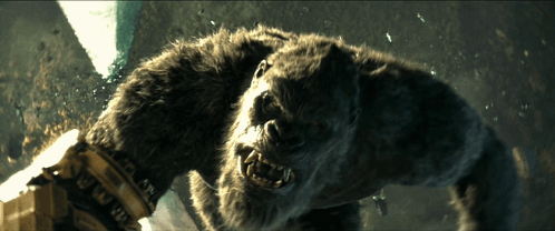 a close up of a furry animal with a glove that says ' nfl ' on it