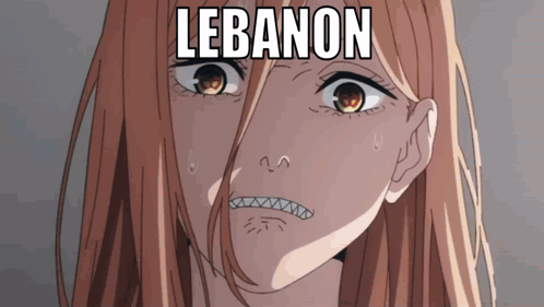a close up of a girl 's face with lebanon written on it