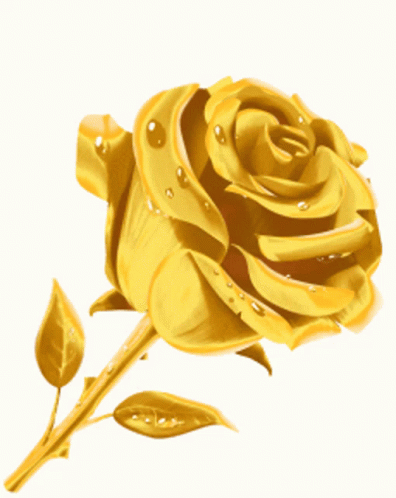 A Close Up Of A Gold Rose With Water Drops On It GIF