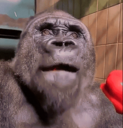 A Close Up Of A Gorilla 'S Face With A Red Object In Front Of It GIF