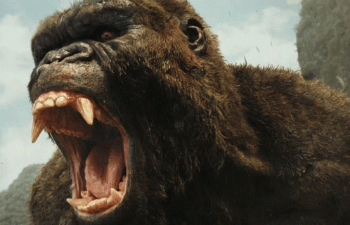 a close up of a gorilla 's mouth with its mouth open
