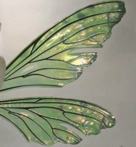 A Close Up Of A Green Fairy Wing On A White Surface GIF