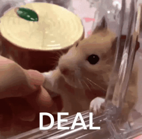 A Close Up Of A Hamster In A Cage With The Word Deal Behind It GIF