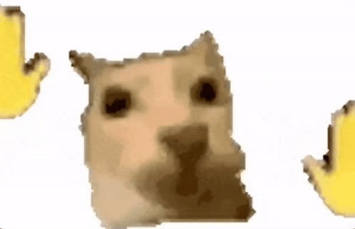 A Close Up Of A Hamster 'S Face With Two Bananas Behind It . GIF