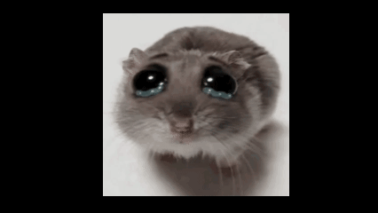 A Close Up Of A Hamster With Tears Running Down Its Face GIF