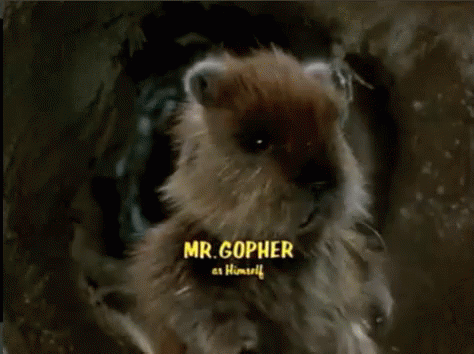 A Close Up Of A Hamster With The Name Mr. Gopher As Himself GIF