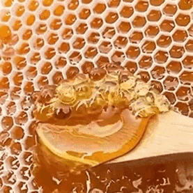 A Close Up Of A Honeycomb With A Spoon In It And A Bee On It . GIF