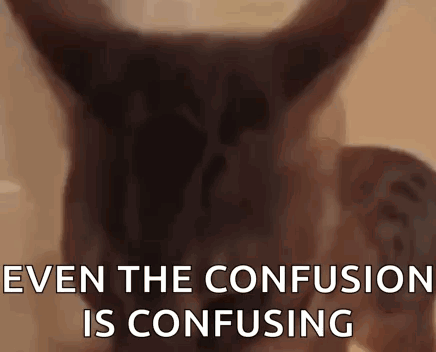 A Close Up Of A Horse 'S Head With The Words `` Even The Confusion Is Confusing '' Written On It . GIF