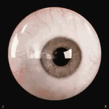 A Close Up Of A Human Eye On A Black Background GIF